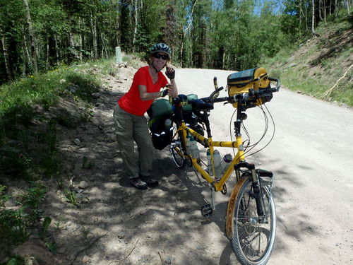 GDMBR: A climbing break, Terry and the Bee.